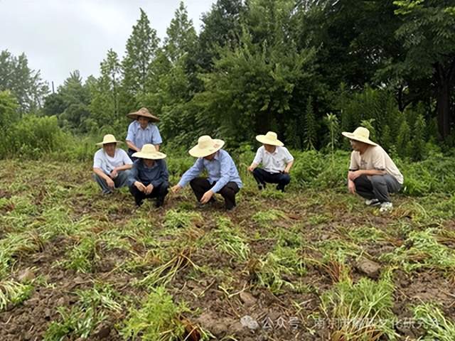 党建引领探新路 农文旅康融古今——南京市廉政文化研究会赴江宁谷里青朴公社开展主题党日暨乡村振兴专题调研(图3)