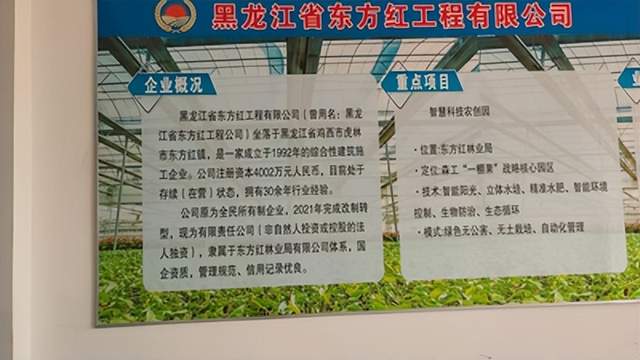 科技赋能乡村振兴 产业铺就共富之路—— 黑龙江省肇州县六合村178栋智能暖棚项目盛大开工(图2)