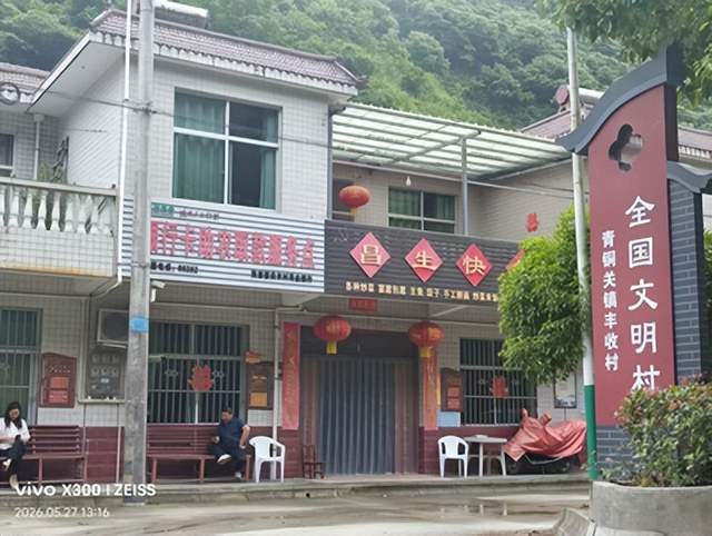 十年蝶变看“丰收”——镇安县青铜关镇丰收村乡村振兴绘就新画卷(图1)