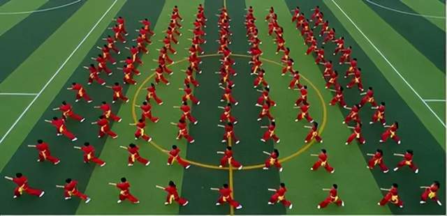8名健儿入选！桃江武术队将代表益阳征战省运会(图1)