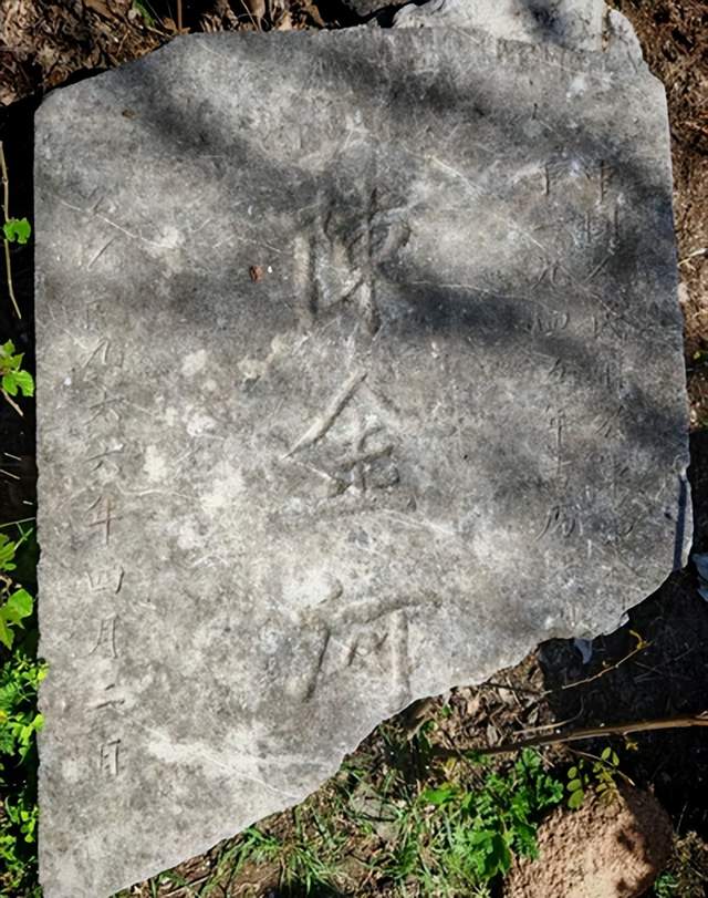 拜谒陈金河烈士(图7)