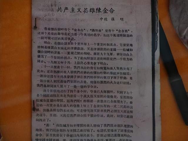 拜谒陈金河烈士(图13)