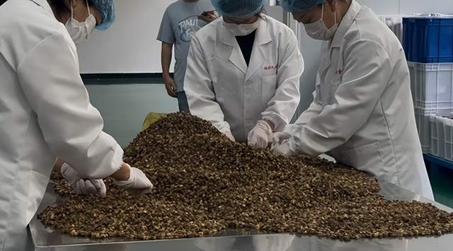 从“脚下斯诺克”到“葛根女王” ，她转换赛道刨出了300万的品牌(图5)