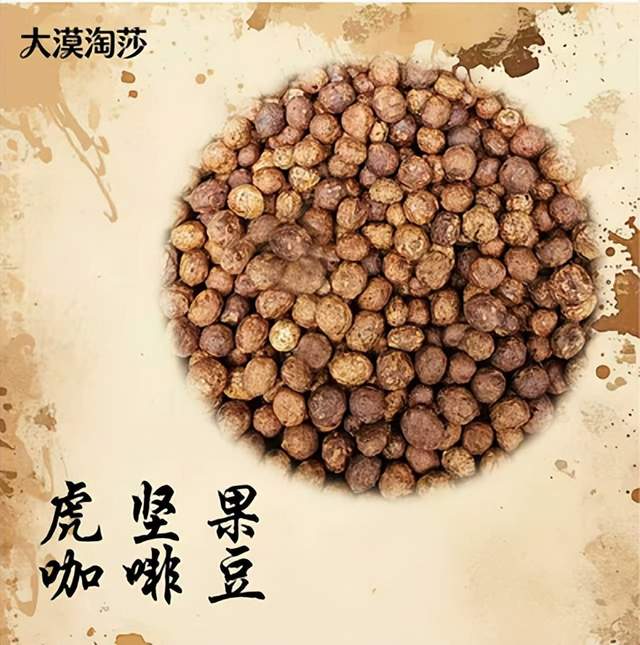 神奇的油莎豆（虎坚果）(图3)