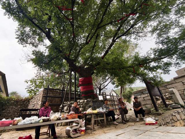 唐瑞成：巍巍齐长城—青石关(图8)