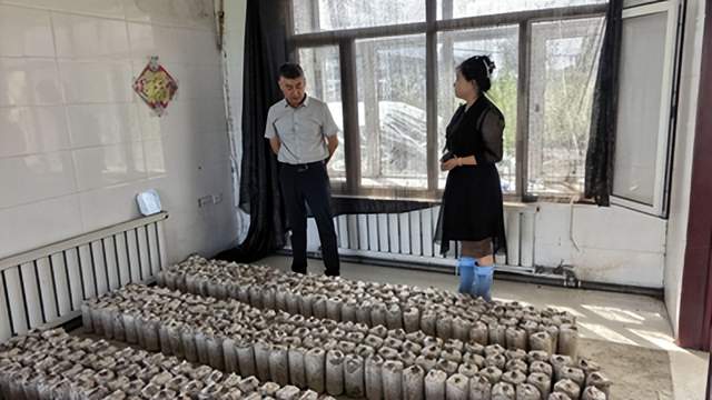 黑龙江省杜尔伯特蒙古族自治县：旧屋盘活育新菌 特色产业助振兴(图1)