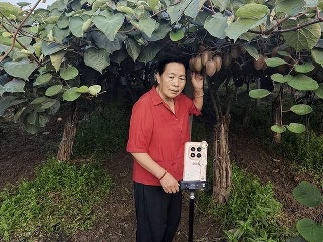 立足乡土深耕特色产业 巾帼吴倩影以猕猴桃绘就乡村振兴壮美画卷(图1)