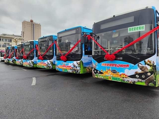 汉寿文旅“星”动长沙 主题公交载着“动物王国”启程(图2)