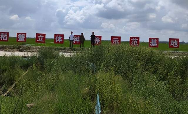 杜尔伯特蒙古族自治县巴彦查干乡：干群深耕生态沃土 同心践行振兴使命(图1)