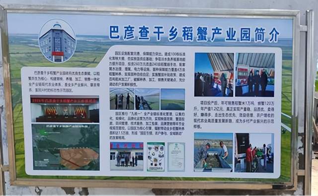 杜尔伯特蒙古族自治县巴彦查干乡：干群深耕生态沃土 同心践行振兴使命(图2)