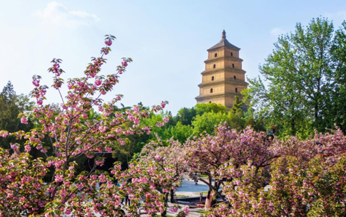 孙_毅：谷雨_领略雨中长安城气派_——谷雨与唐诗经典文化交融
